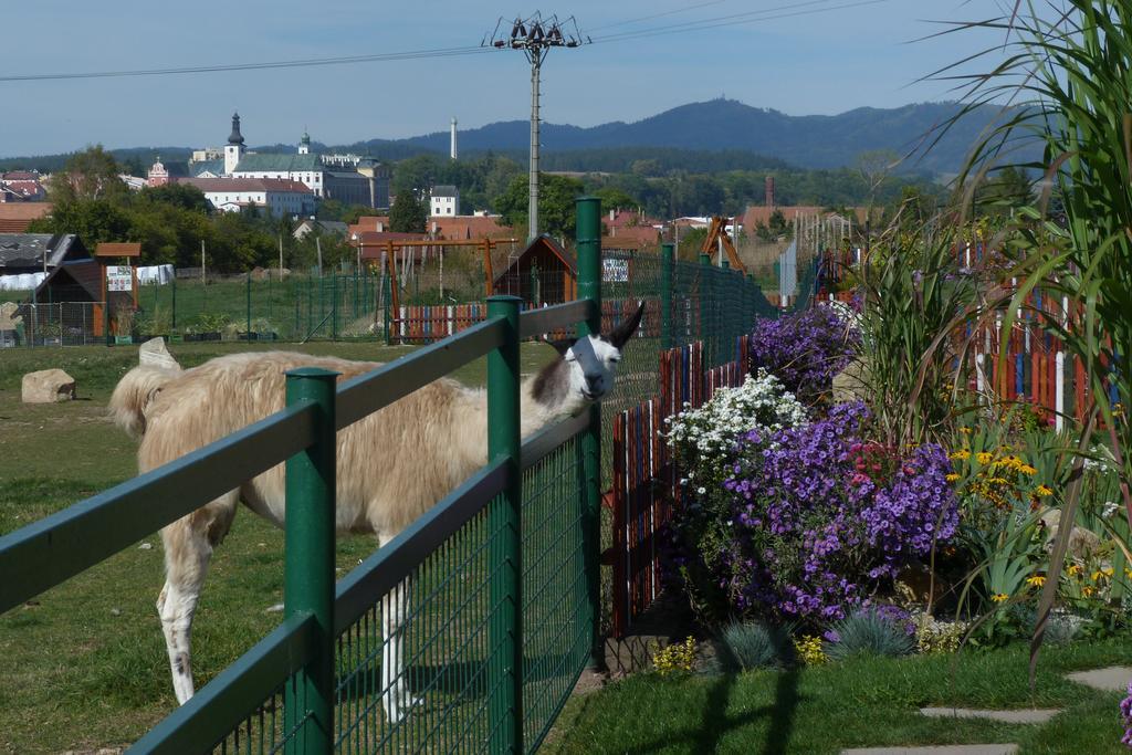 Farma Wenet Broumov Exterior foto