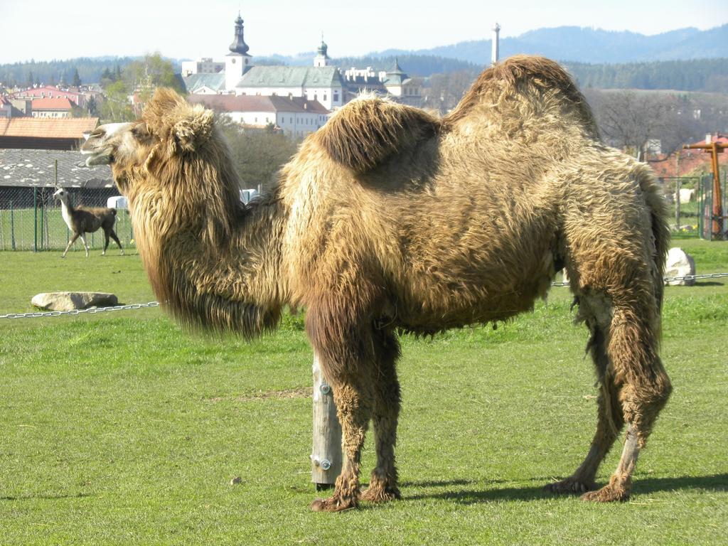 Farma Wenet Broumov Exterior foto