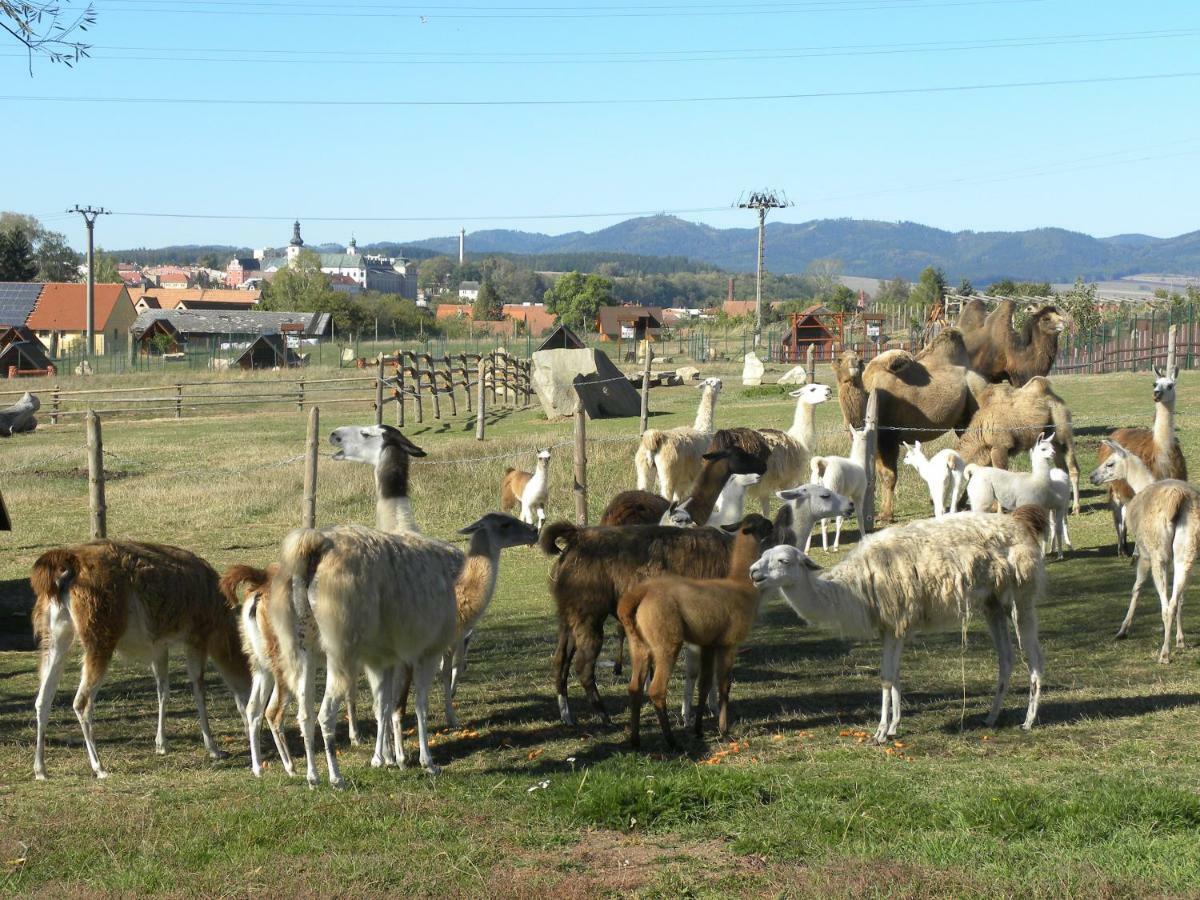 Farma Wenet Broumov Exterior foto